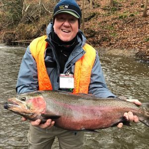 Meet your Posher, Rock